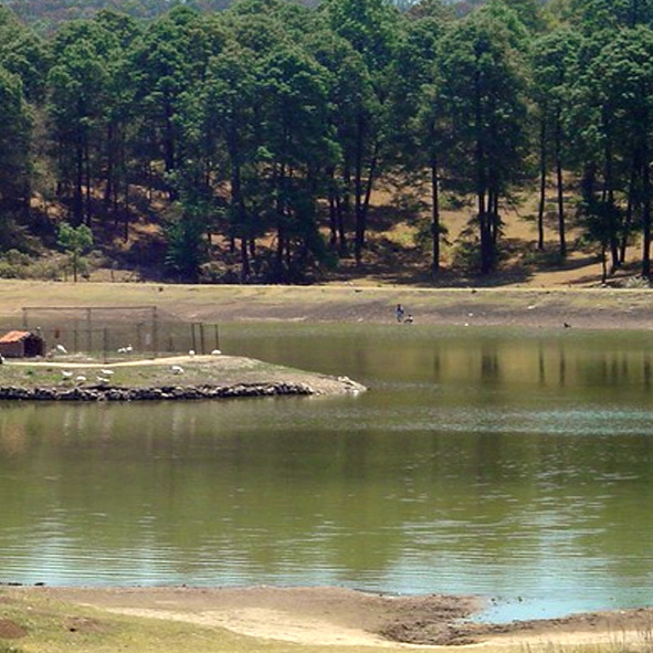 Parque Estatal El Ocotal